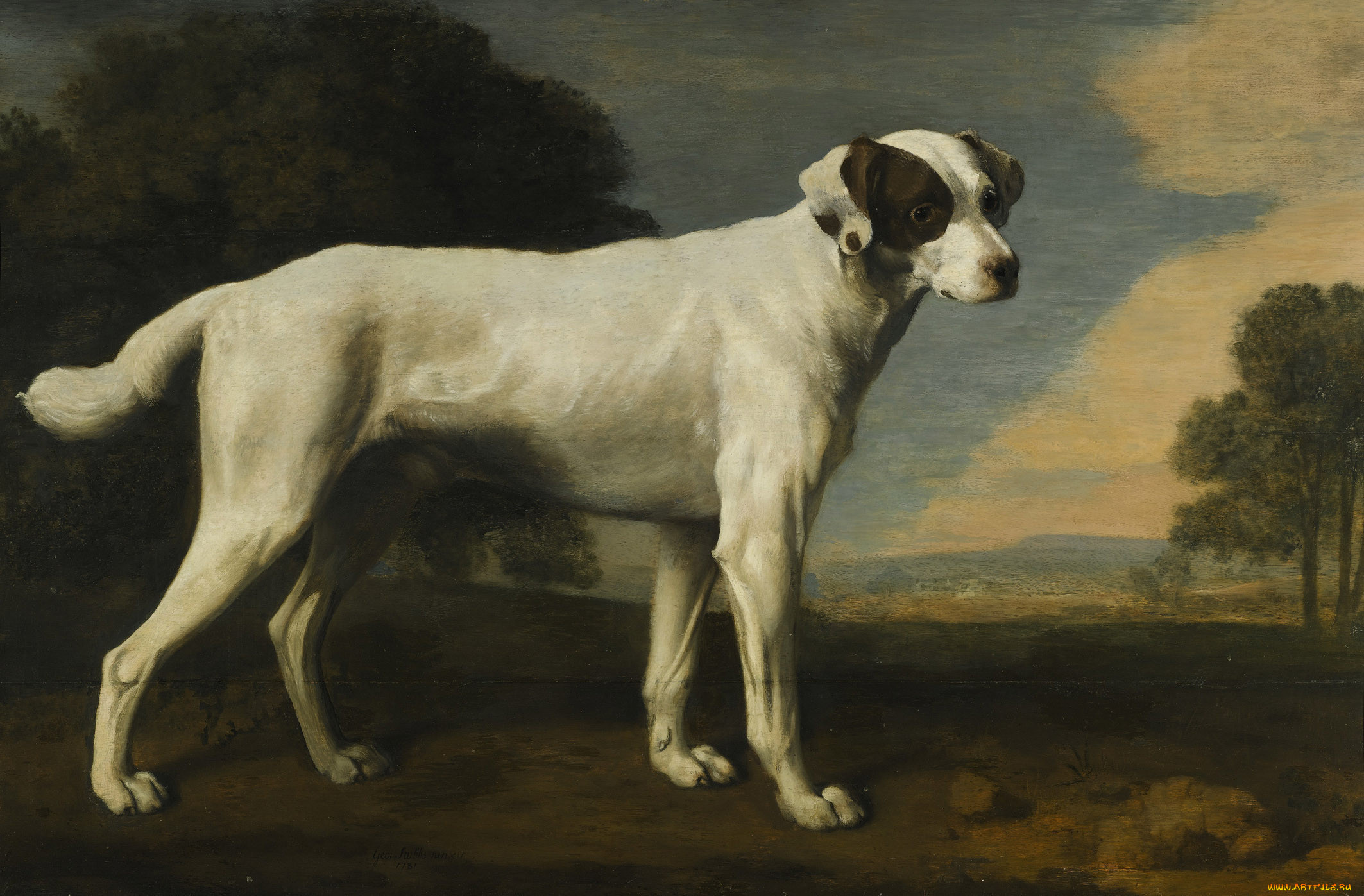 george, stubbs, , 